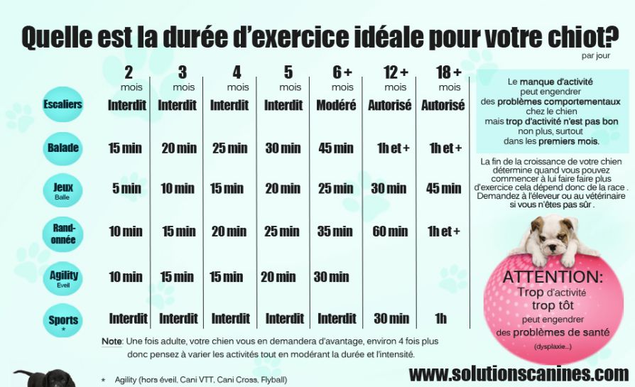 Nos conseils d'élevage Nos conseils d'élevage